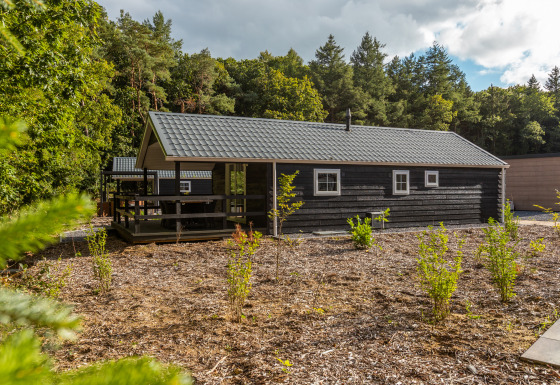 Foto van Heidelodge tiny house in een bosrijke omgeving met veranda, omringd door bomen en struiken.