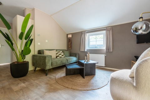 Modernes Wohnzimmer im Tiny House Heidelodge mit grüner Couch und Pflanze, Ferienpark De Wiltzangh, Niederlande.