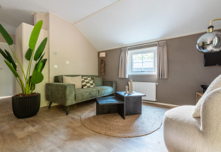 Modernes Wohnzimmer im Tiny House Heidelodge mit grüner Couch und Pflanze, Ferienpark De Wiltzangh, Niederlande.