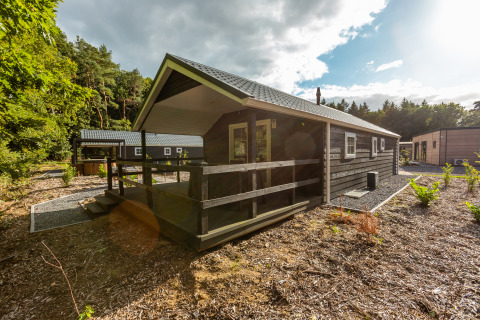 Tiny house ‘Heidelodge’ au parc De Wiltzangh, Pays-Bas, entourée de nature et de forêt verdoyante.