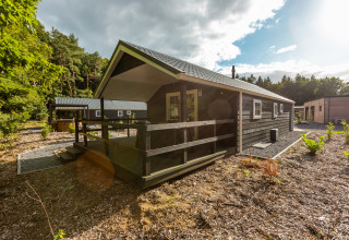 Charmerende tiny house ‘Heidelodge’ i ferieparken De Wiltzangh, Holland, omgivet af skov og natur.