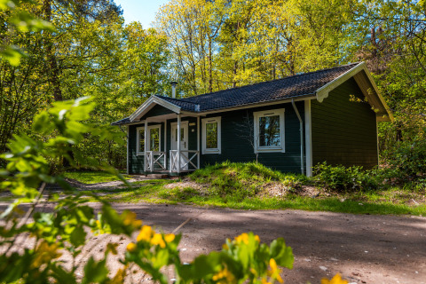 Chalet finlandais confortable en bois sombre et liseré blanc, entouré d’arbres verts et de fleurs de printemps.