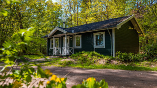 Accogliente chalet finlandese in legno scuro con rifiniture bianche, immerso tra alberi e fiori primaverili.