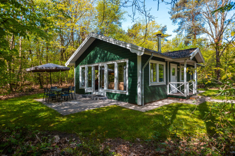 Chalet finlandais au parc De Wiltzangh, Pays-Bas, façade verte et grande terrasse ensoleillée en forêt.