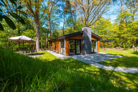 Moderna cabaña Hackfort en el bosque con ventanales grandes, terraza y área de asientos con sombrilla afuera.