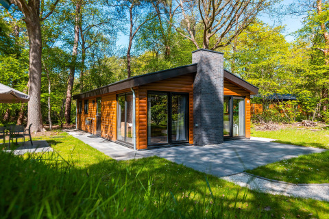 Modern log cabin lodge with large chimney at De Wiltzangh Holiday Park, surrounded by lush forest