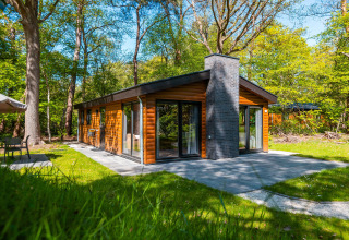Moderne houten lodge met grote schouw in vakantiepark De Wiltzangh, midden in het groene bos