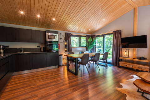 Modern Hackfort lodge at Holiday park De Wiltzangh, Netherlands, with sleek kitchen, dining area and garden view.