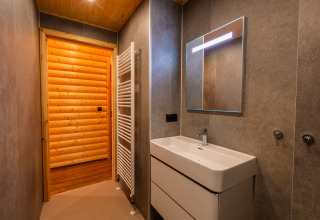 Moderne badkamer in lodge Hackfort van Holiday park De Wiltzangh, Nederland, met houten inrichting.
