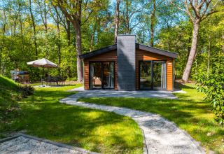 Lodge Hackfort op vakantiepark De Wiltzangh in Nederland, omringd door bos en een terras met zithoek.