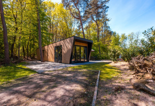 Moderna cabaña 'Just Nature' en el parque vacacional De Wiltzangh, Países Bajos, rodeada de bosque verde.