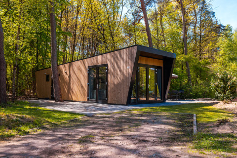 Modern lodge called Just Nature at Holiday park De Wiltzangh in the Netherlands, surrounded by green trees.
