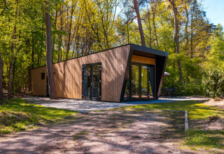 Lodge moderne Just Nature au parc de vacances De Wiltzangh, Pays-Bas, entouré d’arbres et de verdure.