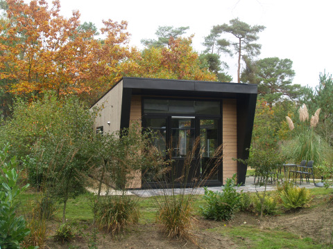 Lodge « Just Nature » au parc de vacances De Wiltzangh, Pays-Bas, entouré d’arbres et de verdure automnale.
