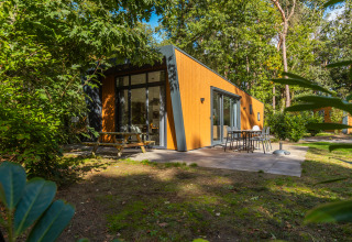 Lodge moderne "Just Nature" au parc De Wiltzangh, Pays-Bas, entouré de verdure et de forêt naturelle.