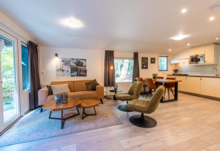 Salón y cocina modernos en una cabaña del Holiday park De Wiltzangh, Países Bajos, con muebles elegantes.