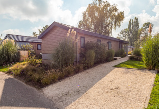 Foto di un lodge Velthorst presso il parco vacanze Aan de Maas nei Paesi Bassi, circondato da verde.