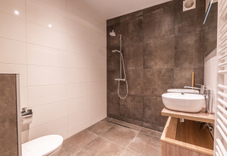 Modern bathroom with walk-in shower, white toilet and basin at Just Nature lodge, Holiday park Aan de Maas, Netherlands.
