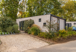 Die Just Nature Lodge im Ferienpark Aan de Maas in den Niederlanden ist von üppigem Grün umgeben.