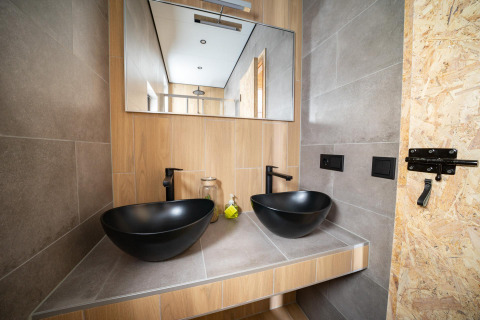 Modern bathroom with dual black vessel sinks, large mirror, and wood detailing at Just Nature lodge, Netherlands.