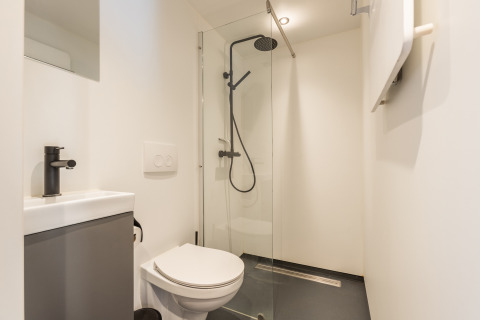 Modern compact bathroom with shower, toilet, and sink in Tiny House «Havenzicht» at De Wiedense Meren, Netherlands.
