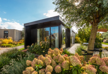 Modernes Ferienchalet Comfort im Ferienpark De Wiedense Meren, Niederlande, umgeben von Gartenblumen.