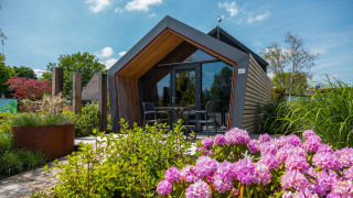 Modern tiny house with large windows, surrounded by lush garden and blooming pink flowers in front.