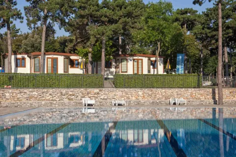 Swimming pool at Village Mare Pineta holiday park in Friuli-Venezia Giulia, Italy, with trees and cottages behind.