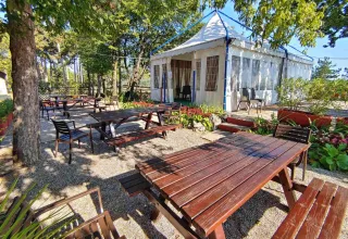 Area pranzo all'aperto con tavoli e panche in legno presso il Campeggio Village Mare Pineta, Friuli-Venezia Giulia.