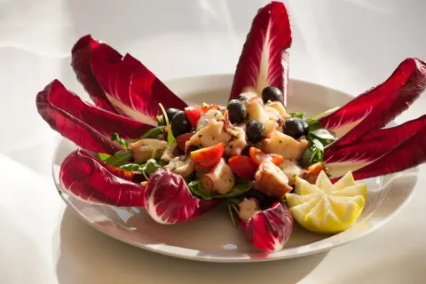 Insalata di polpo con olive, pomodorini e radicchio, servita in un piatto al villaggio Mare Pineta, Friuli.