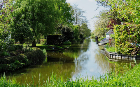 Vista panoramica sul canale dal Safari tent al Campeggio de Boerenzwaluw nei Paesi Bassi, immersa nel verde.