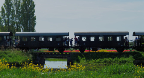 Train crossing a small bridge by green meadows and yellow flowers at Campsite de Boerenzwaluw, Netherlands.