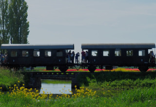 Train crossing a small bridge by green meadows and yellow flowers at Campsite de Boerenzwaluw, Netherlands.