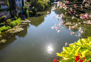 Fiume con fiori in primo piano e antiche case sull’acqua al campeggio Les 3 Cantons, Occitania, Francia.