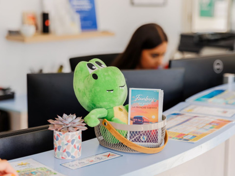 Réception de Flower Camping l'Escale du Perthuis avec une peluche verte, des brochures et une plante grasse.