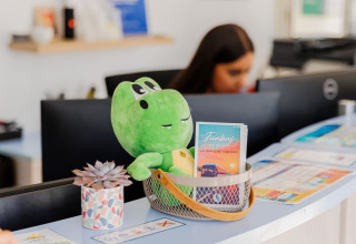 Reception at Flower Camping l'Escale du Perthuis with a green plush toy, brochures, and a succulent plant.
