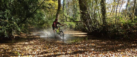 A mountain biker rides through wet autumn leaves and shallow water at Campsite Les 3 Cantons in Occitanie, France.