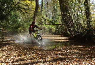 A mountain biker rides through wet autumn leaves and shallow water at Campsite Les 3 Cantons in Occitanie, France.