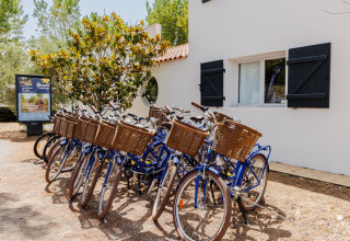Række af blå cykler med kurve foran en bygning i Flower Camping l'Escale du Perthuis, Pays de la Loire.