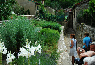 Turisti ammirano un rigoglioso giardino e antichi muri in pietra vicino a ST ANTONIN NOBLE VAL, Occitania, Francia.