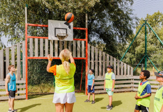 Enfants et adultes jouent au basket en plein air au Flower Camping l'Escale du Perthuis en Pays de la Loire, France.