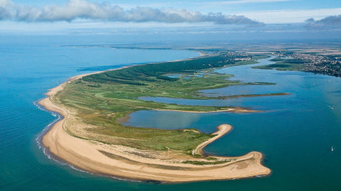 Vue aérienne d’un littoral sableux et d’espaces verts près de La Tranche-sur-Mer, Pays de la Loire, France.