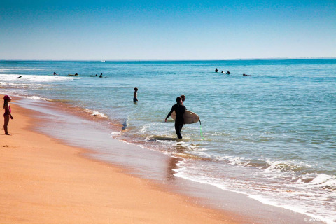 Surfista che esce dal mare a Flower Camping l'Escale du Perthuis, Pays de la Loire, Francia, spiaggia assolata.
