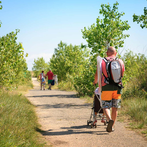 Une famille marche sur un sentier bordé d’arbres en été à Flower Camping l'Escale du Perthuis en France.