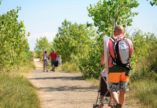 Une famille marche sur un sentier bordé d’arbres en été à Flower Camping l'Escale du Perthuis en France.