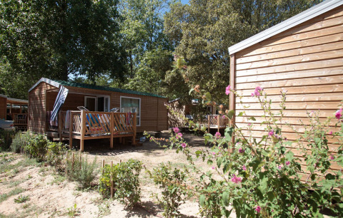 Mobil-home Standard 25m2 avec terrasse en bois, entouré de fleurs et d’arbres, en plein soleil.