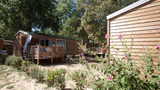 Mobil-home Standard 25m2 avec terrasse en bois, entouré de fleurs et d’arbres, en plein soleil.