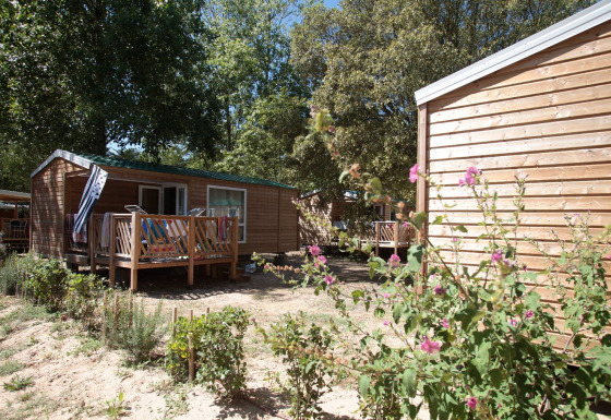Mobil-home Standard 25m2 avec terrasse en bois, entouré de fleurs et d’arbres, en plein soleil.