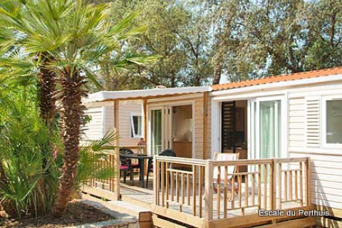 Photo d’un mobil-home avec terrasse en bois et mobilier de jardin, entouré de palmiers et verdure.