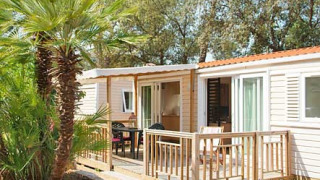 Billede af en mobilhome med træterrasse og havemøbler, omgivet af palmer og grønne planter i solskin.